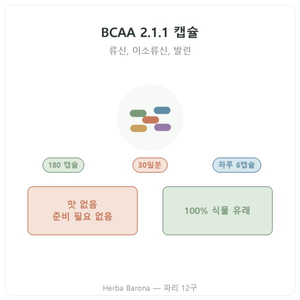 BCAA 2.1.1 Nutripure 180 캡슐 제품 소개 Paris Herba Barona
