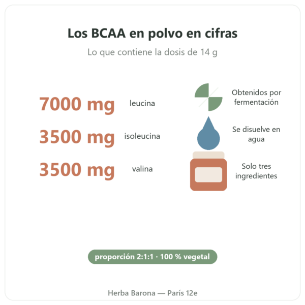 BCAA 2.1.1 Nutripure en polvo 220 g beneficios y cifras clave Paris Herba Barona