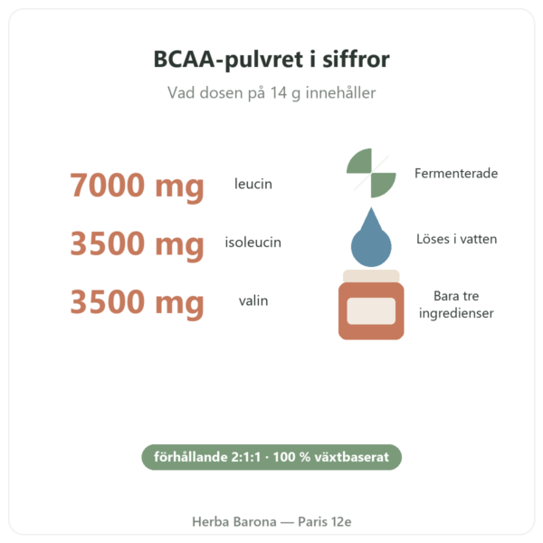 BCAA 2.1.1 Nutripure pulver 220 g fördelar och nyckeltal Paris Herba Barona
