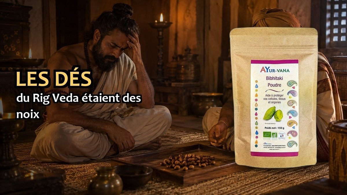 Vidéo Bibhitaki Ayur-vana Bibhitaki bio Paris Herba Barona