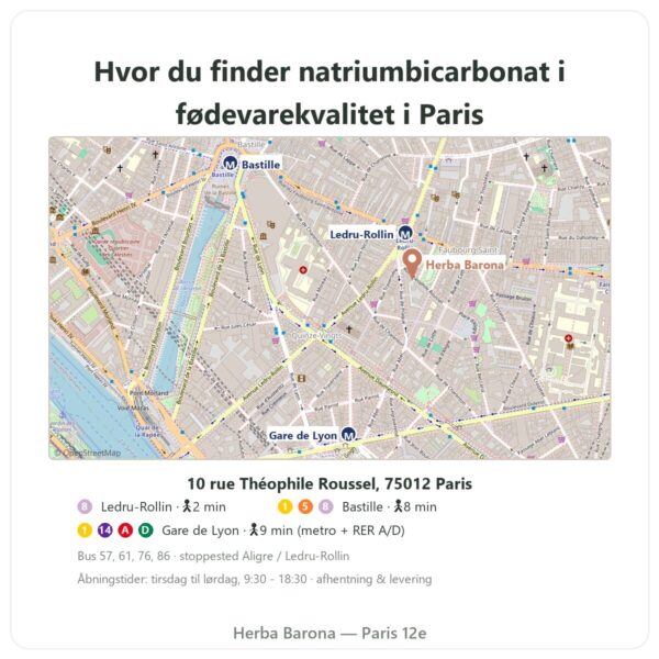 Hvor kan det findes Natriumbicarbonat i fødevarekvalitet 500 g – Nature et Partage – 500 g - Herba Barona Paris