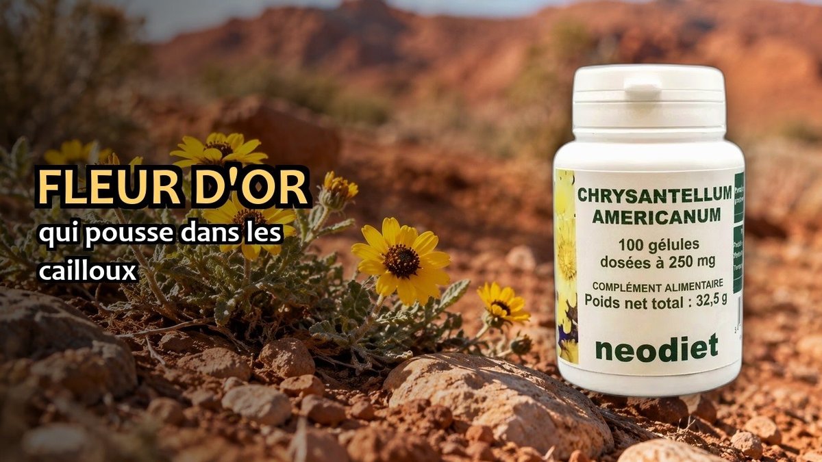 Vidéo Chrysantellum Vital Osmose Paris Herba Barona