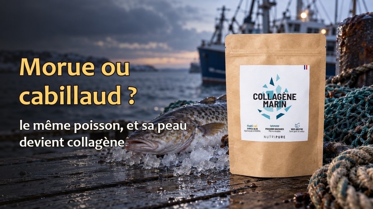Vidéo Collagène marin Naticol Nutripure Collagène marin Naticol® Nutripure neutre 150 g Paris Herba Barona