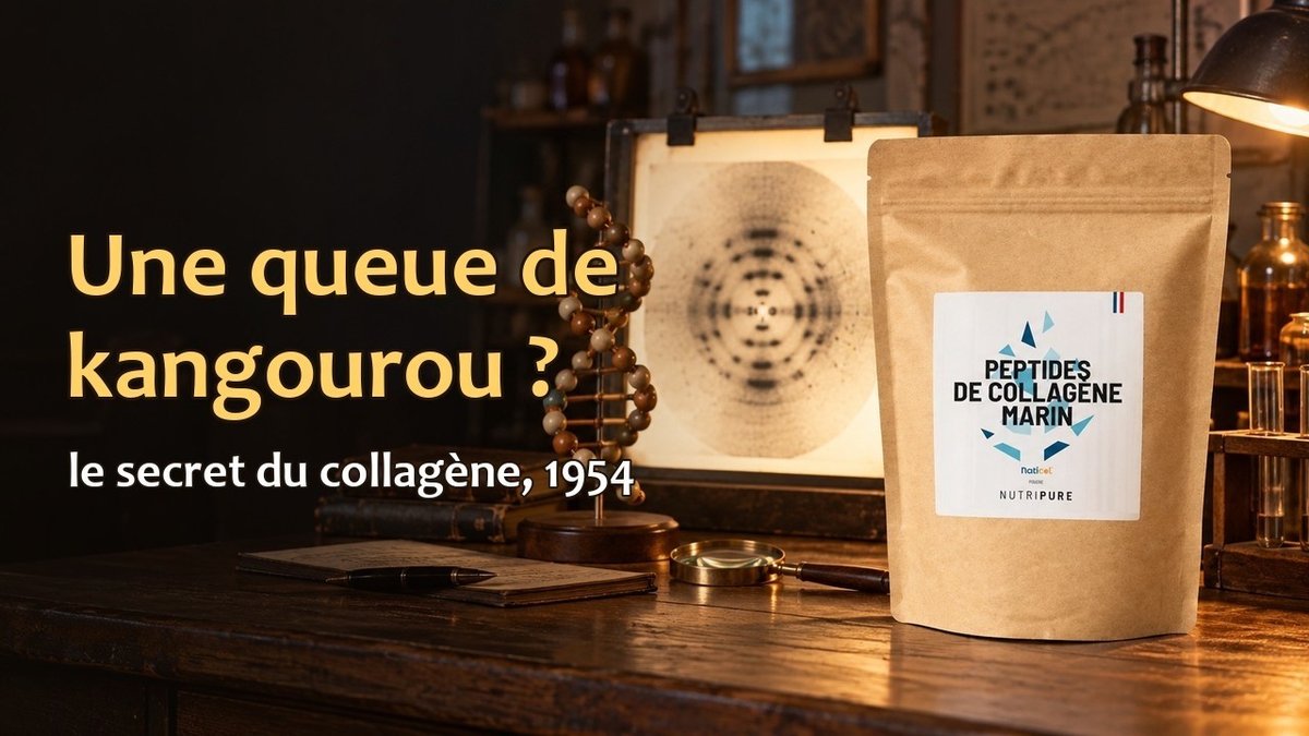 Vidéo Collagène marin Naticol Nutripure Collagène marin Naticol® Nutripure neutre 310 g Paris Herba Barona