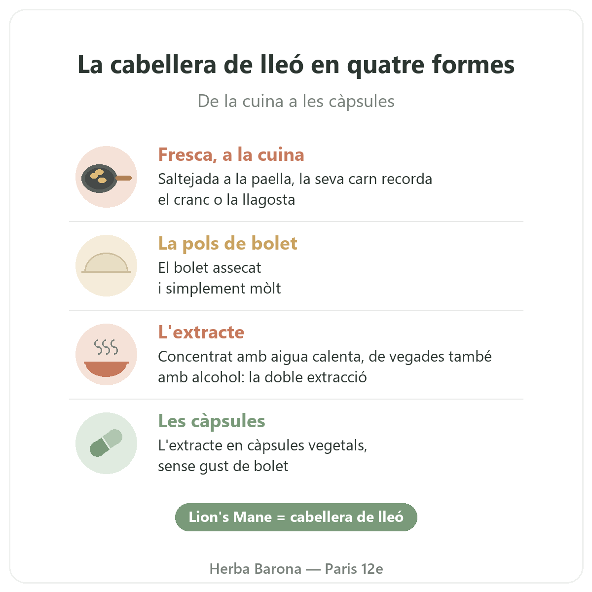 Cabellera de lleó París: quatre formes, Herba Barona París 12