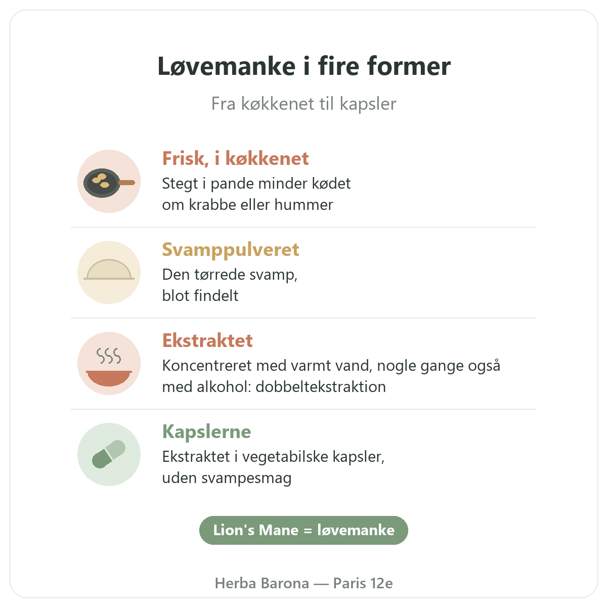 Løvemanke Paris: fire former, Herba Barona Paris 12.