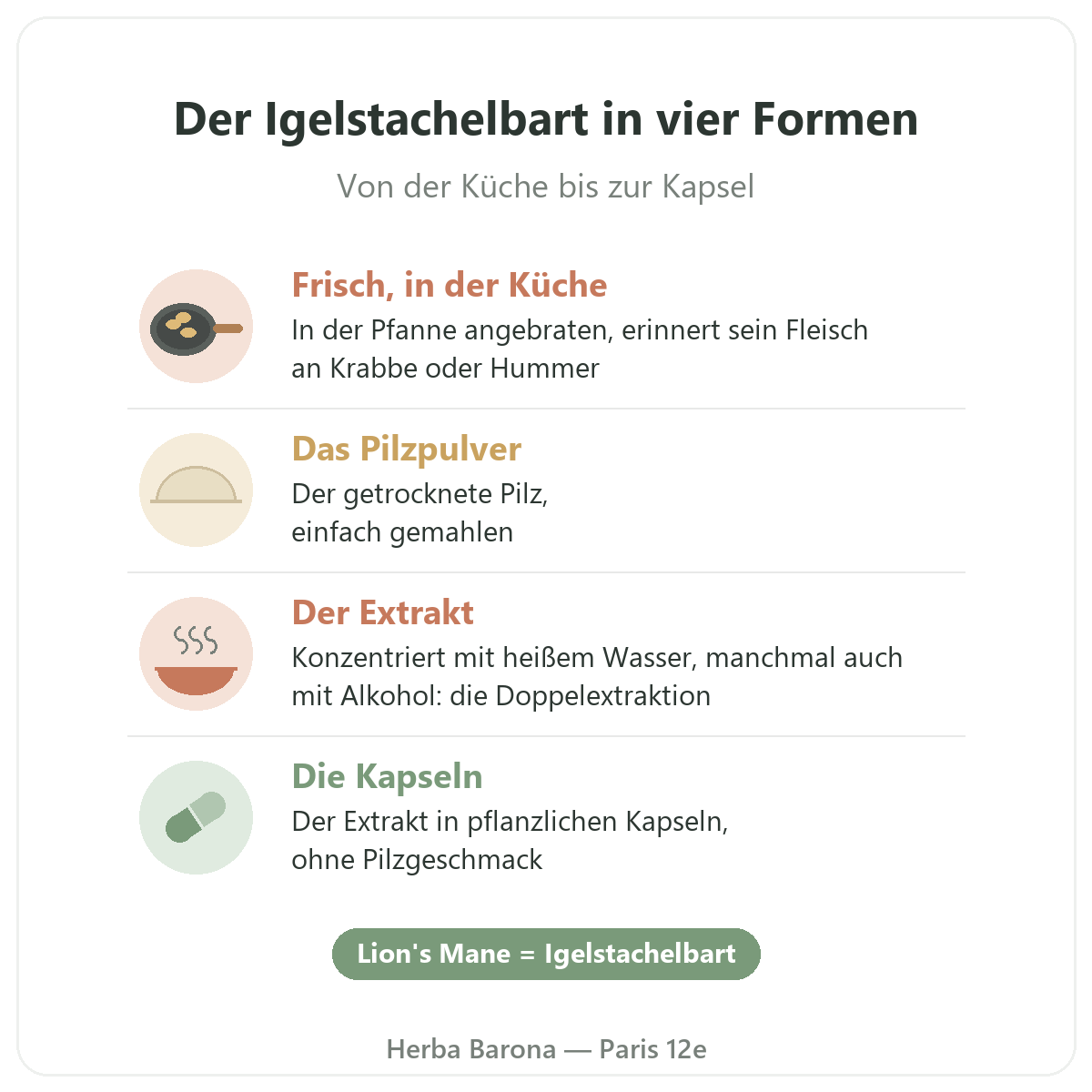 Igelstachelbart Paris: vier Formen, Herba Barona Paris 12e