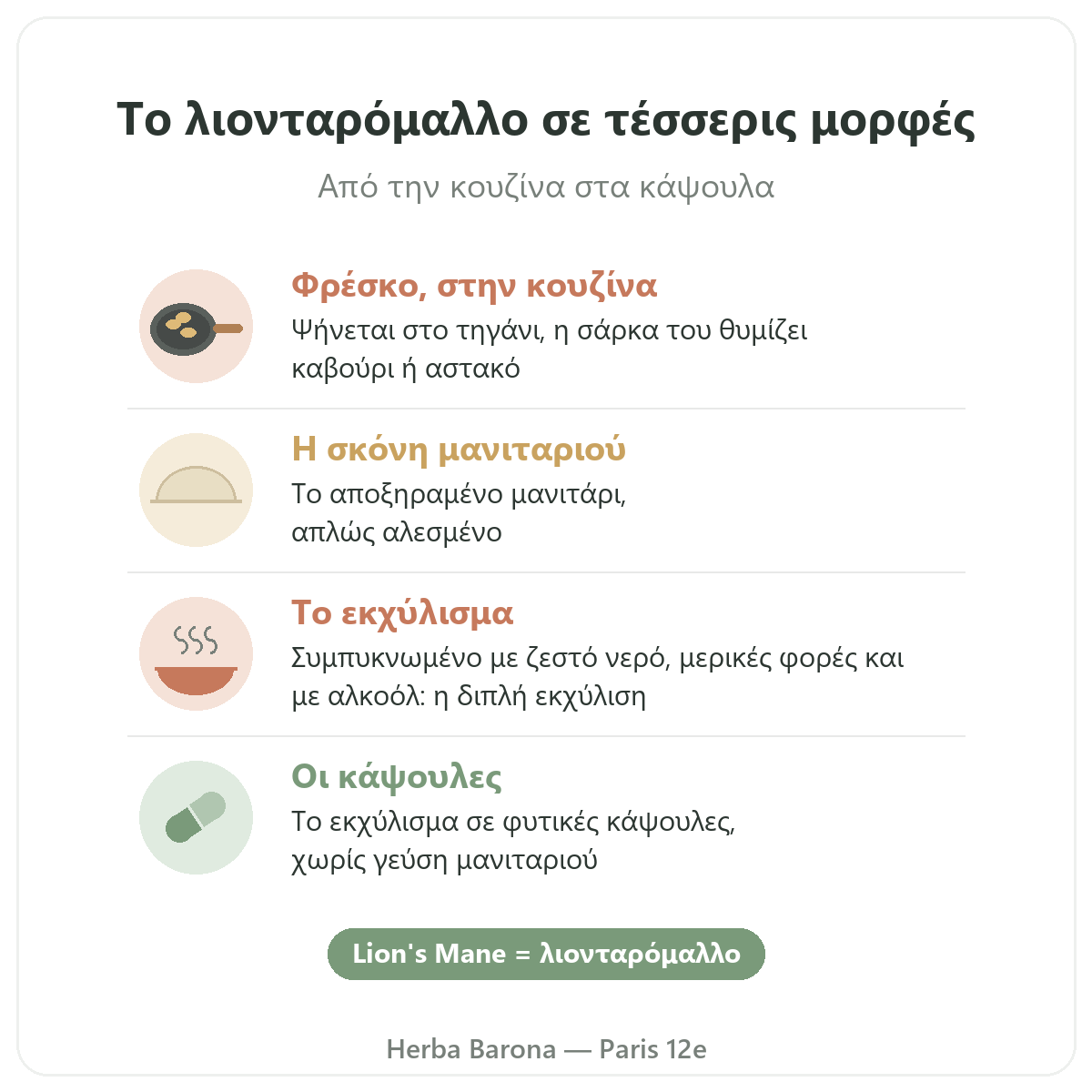 Λιονταρόμαλλο Παρίσι: τέσσερις μορφές, Herba Barona Παρίσι 12ο