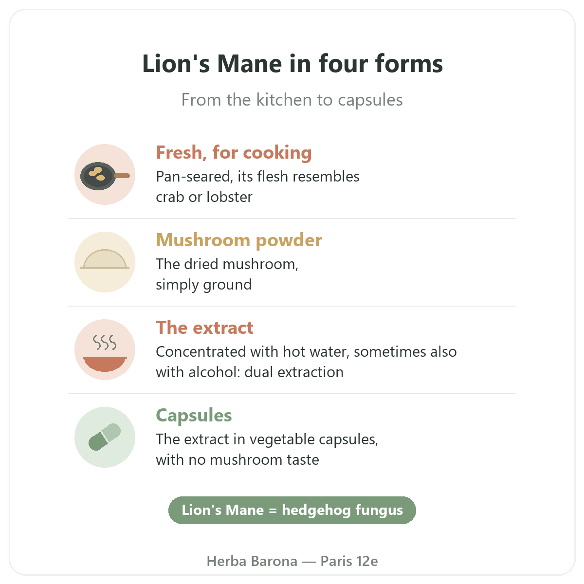 Lion's Mane Paris: four forms, Herba Barona Paris 12th