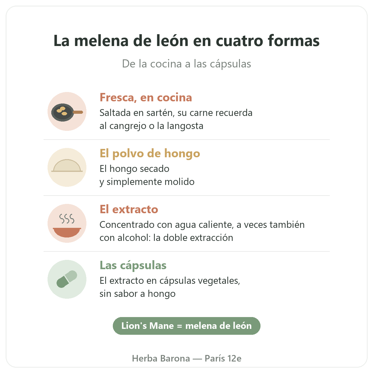 Melena de león París: cuatro formas, Herba Barona París 12