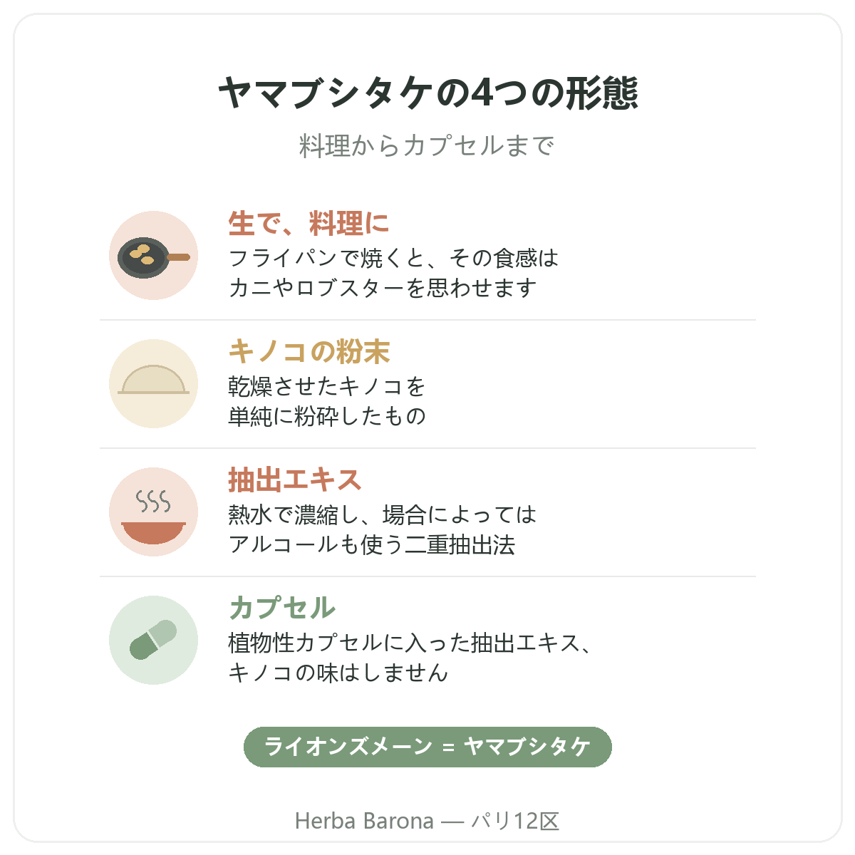 パリのヤマブシタケ:4つの形態、Herba Barona パリ12区