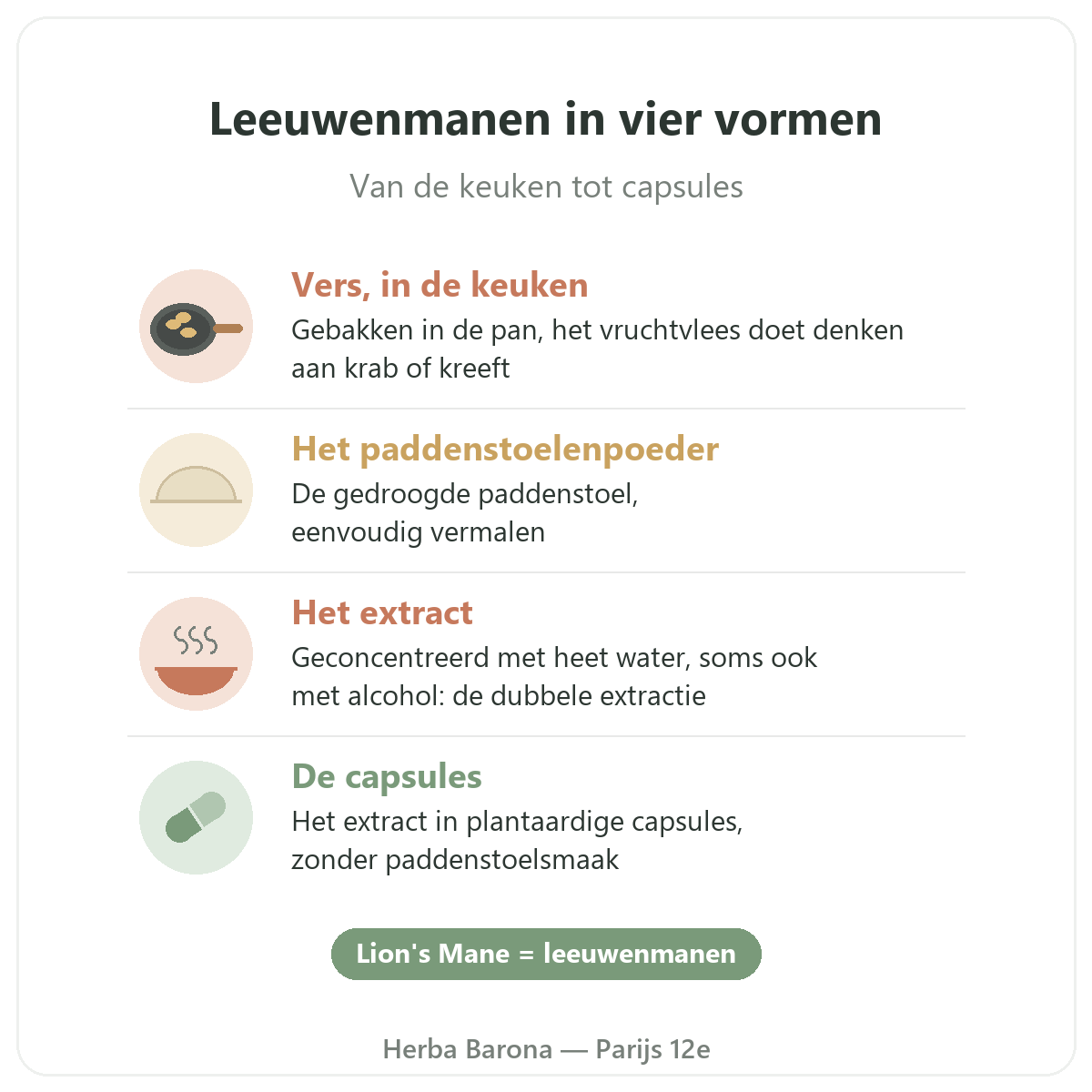 Leeuwenmanen Parijs: vier vormen, Herba Barona Parijs 12e
