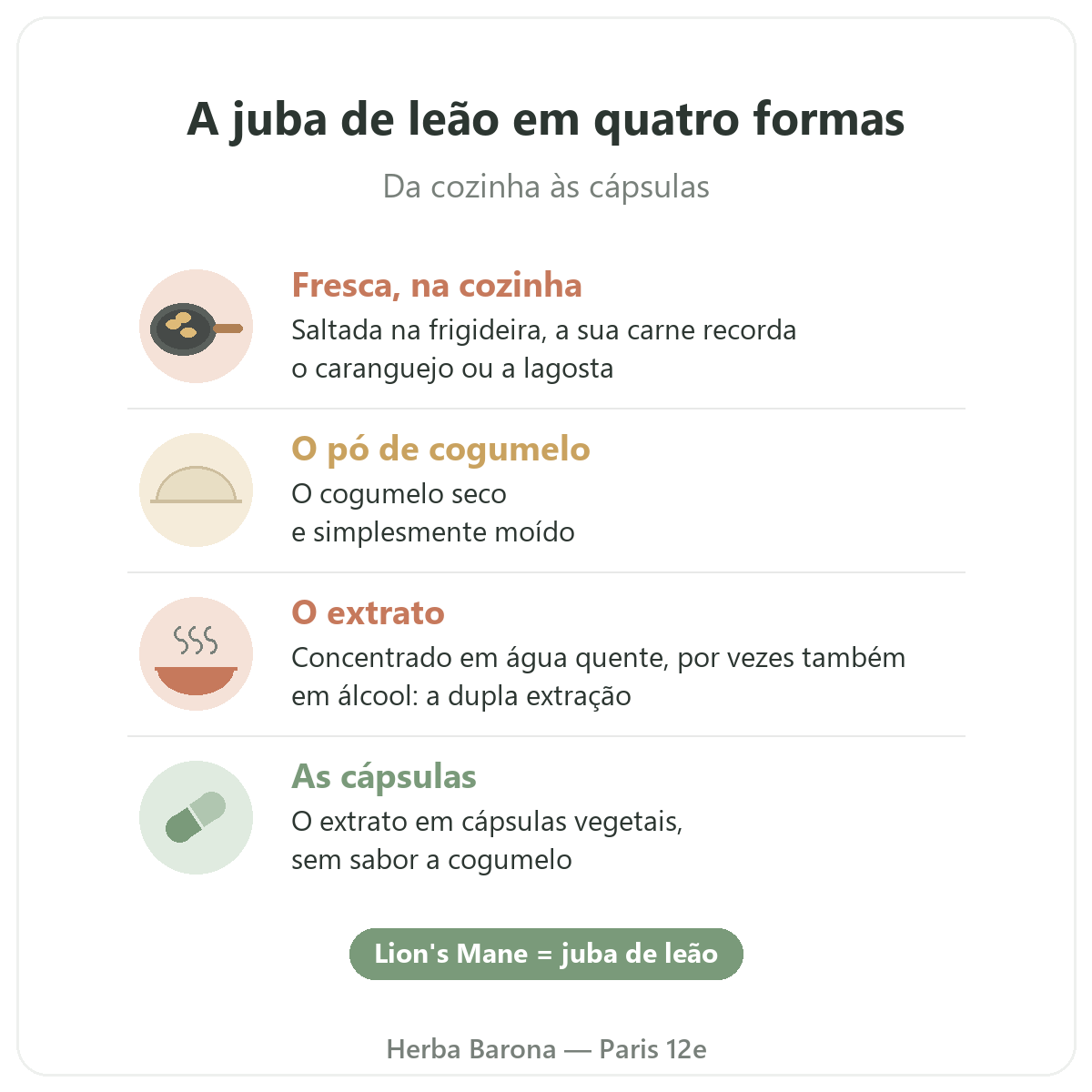 Juba de leão Paris: quatro formas, Herba Barona Paris 12