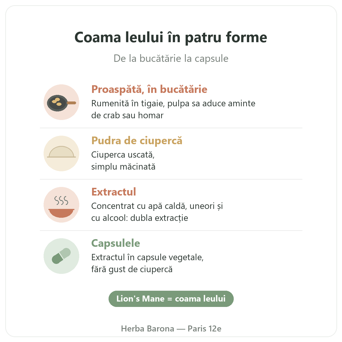 Coama leului Paris: patru forme, Herba Barona Paris 12