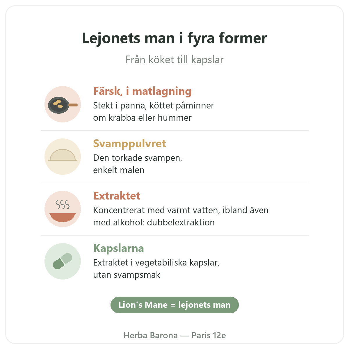 Lejonets man Paris: fyra former, Herba Barona Paris 12