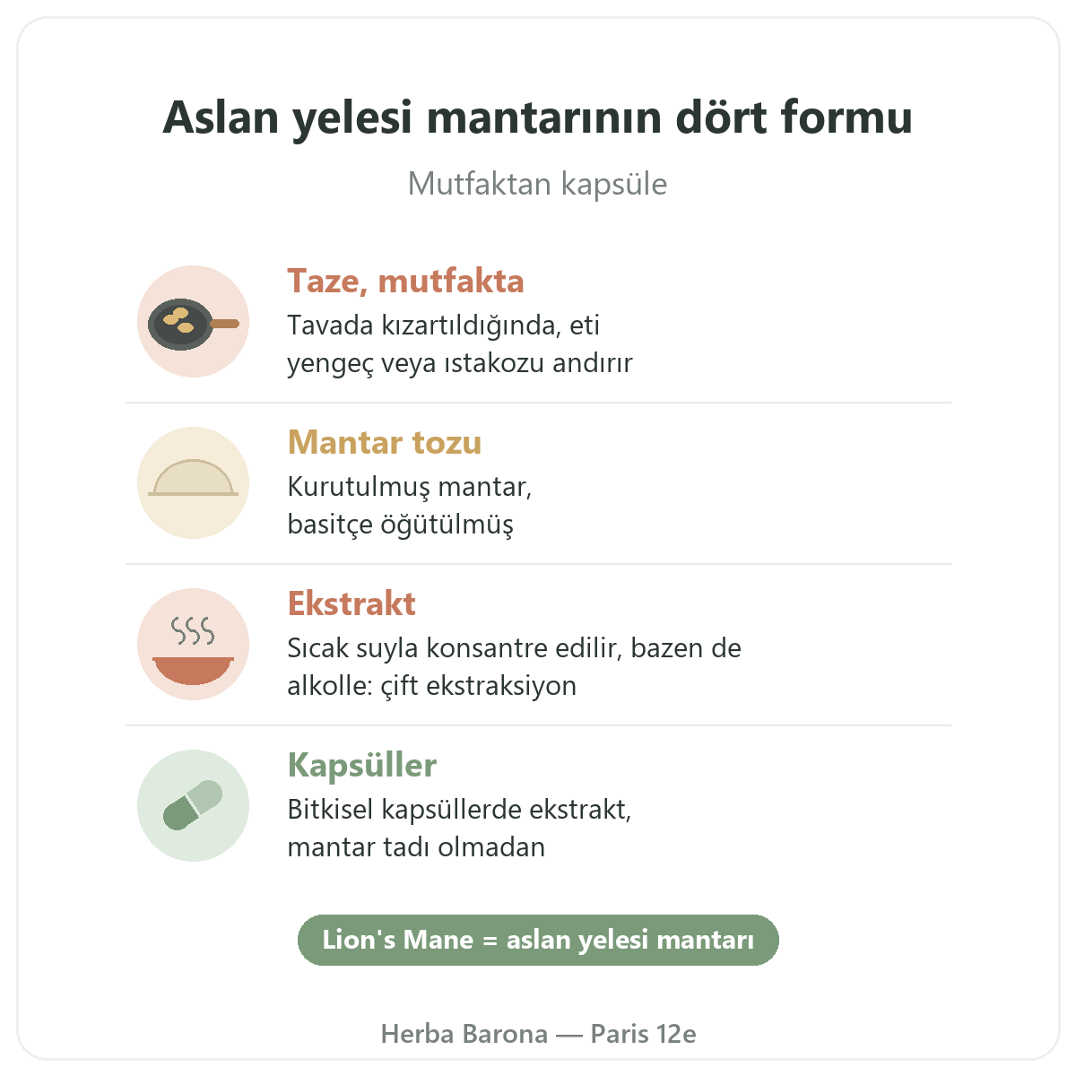 Aslan Yelesi Mantarı Paris: dört form, Herba Barona Paris 12