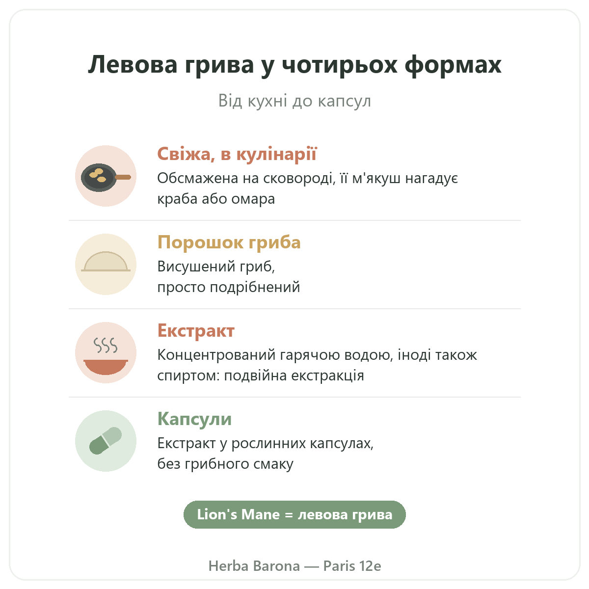Левова грива Париж: чотири форми, Herba Barona Париж 12