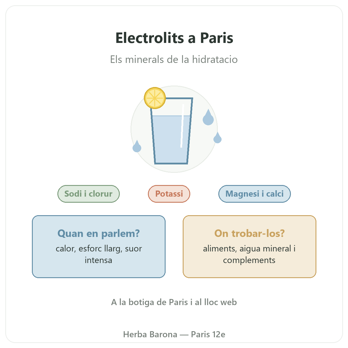 Electrolits Herba Barona