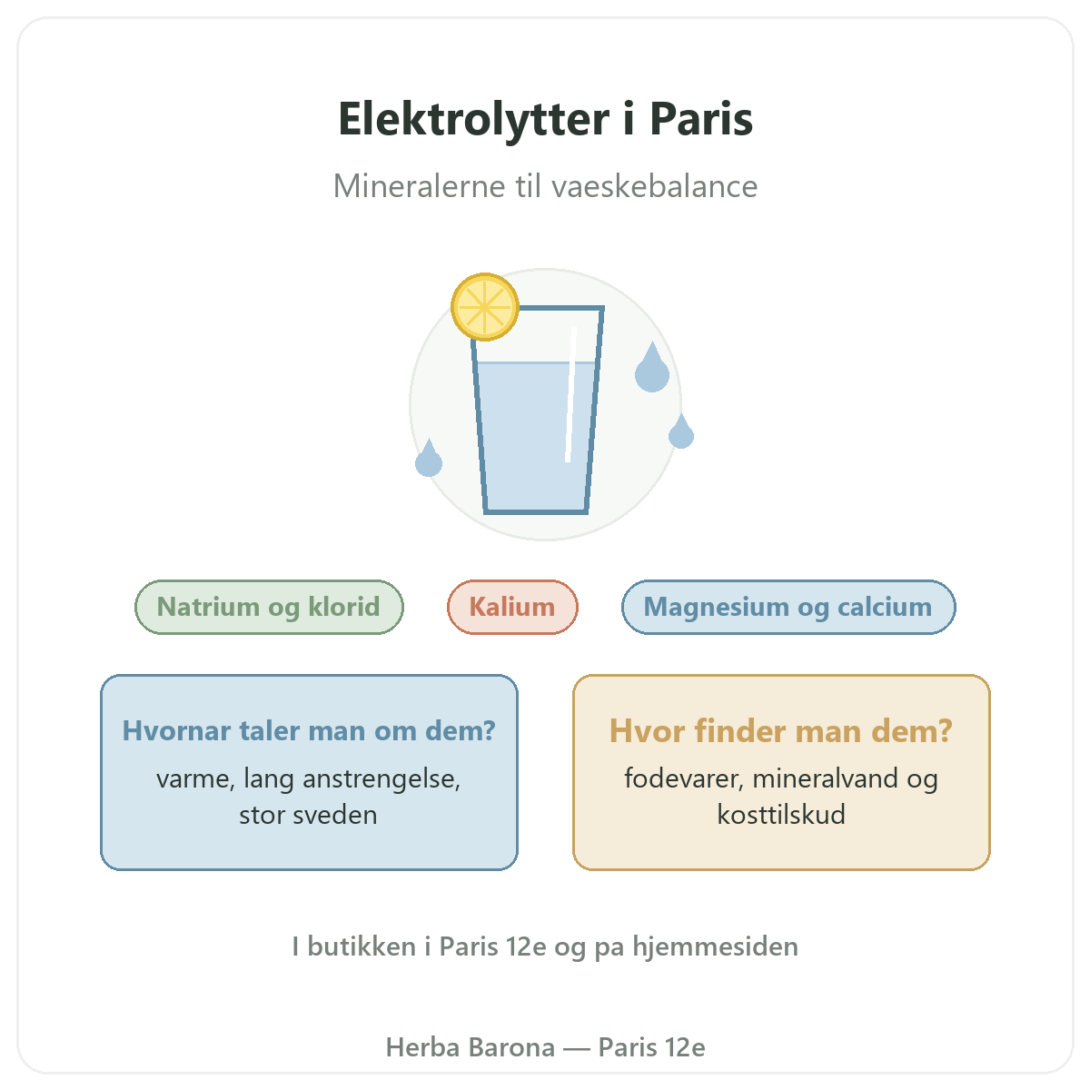 Elektrolytter Herba Barona