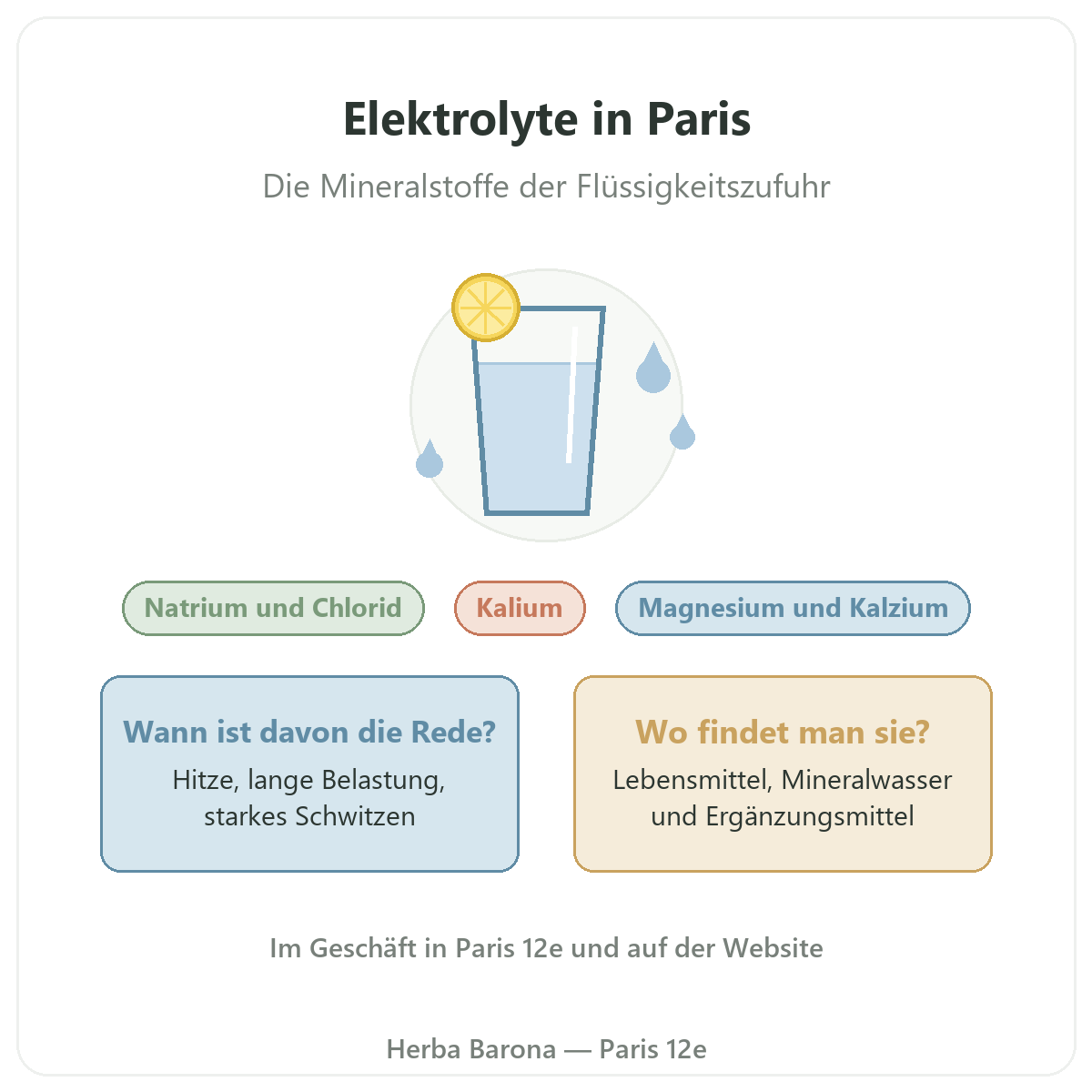 Elektrolyte Herba Barona