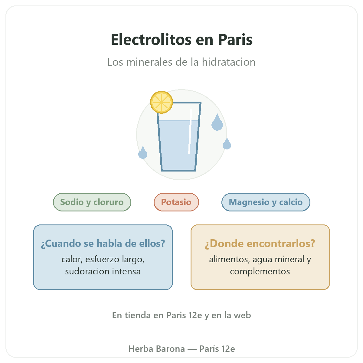 Electrolitos Herba Barona
