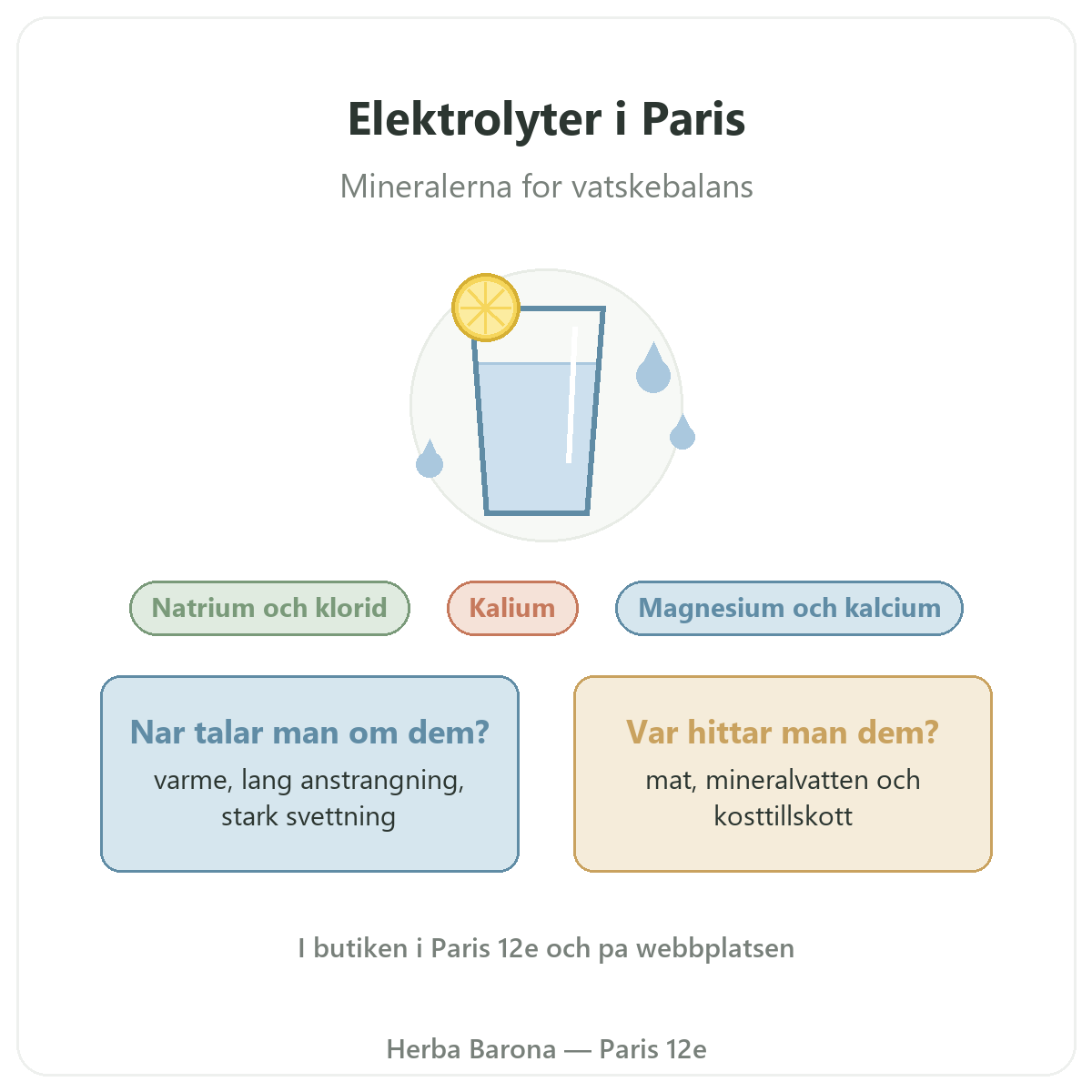 Elektrolyter Herba Barona