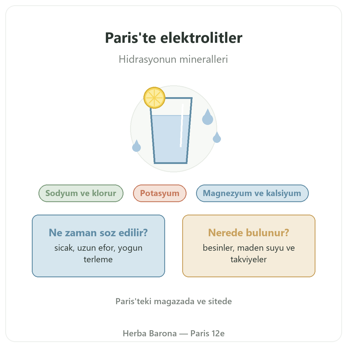 Elektrolitler Herba Barona
