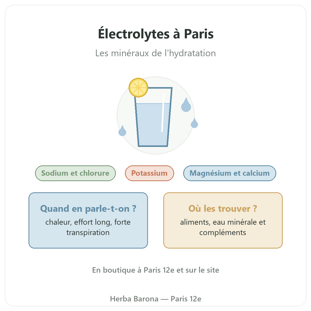 Électrolytes à Paris : présentation chez Herba Barona Paris 12e