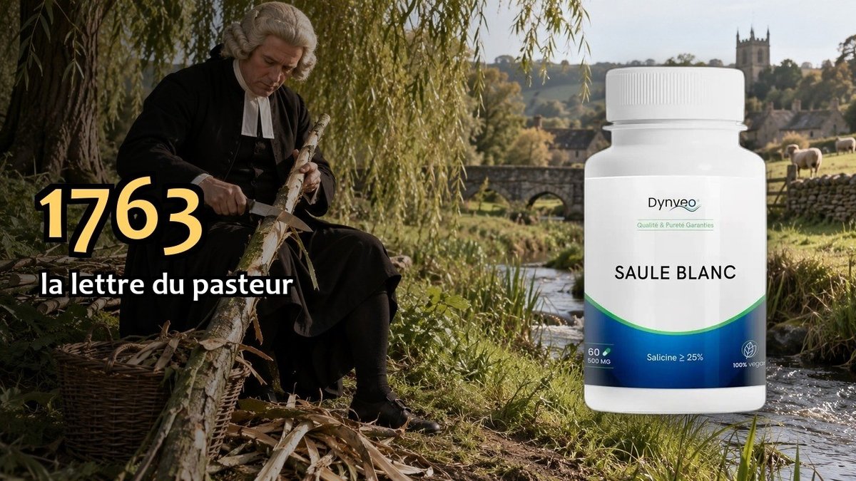 Vidéo Extrait de saule blanc Dynveo Extrait d'écorce de Saule Blanc Paris Herba Barona