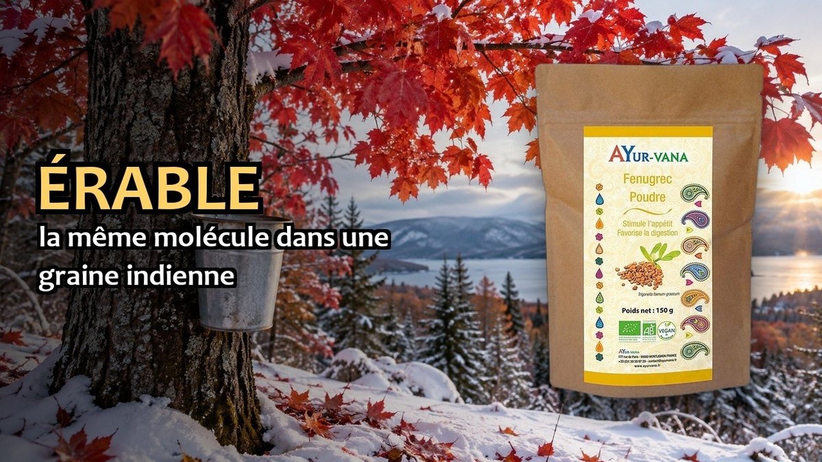 Vidéo Fenugrec en poudre Ayur-vana Fenugrec Bio poudre Paris Herba Barona