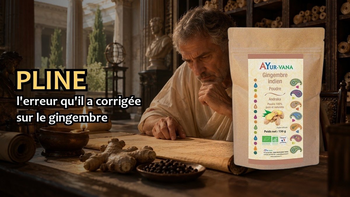 Vidéo Gingembre indien en poudre Ayur-vana Poudre de gingembre indien bio 150 g Paris Herba Barona