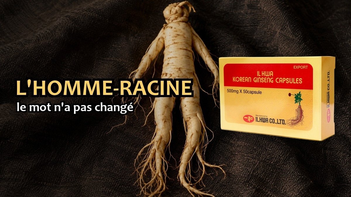 Vidéo Ginseng coréen 50 gélules IL HWA Ginseng Coréen 50 Gélules 500mg IL HWA Corée Paris Herba Barona
