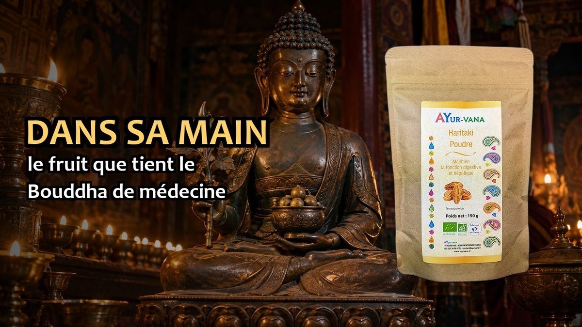 Vidéo Haritaki Ayur-vana Haritaki bio Paris Herba Barona