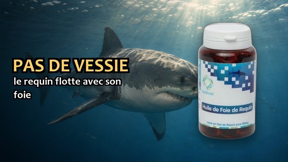 Vidéo Huile de foie de requin Distriform' Paris Herba Barona