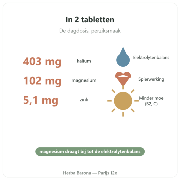 Hydrapure elektrolyten Nutripure – perzik – 30 bruistabletten voordelen en kerncijfers Paris Herba Barona