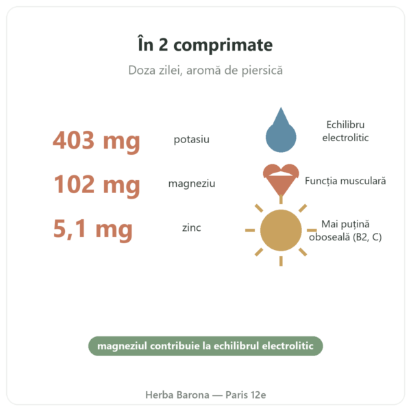 Hydrapure electroliți Nutripure – piersică – 30 de comprimate efervescente beneficii și cifre cheie Paris Herba Barona