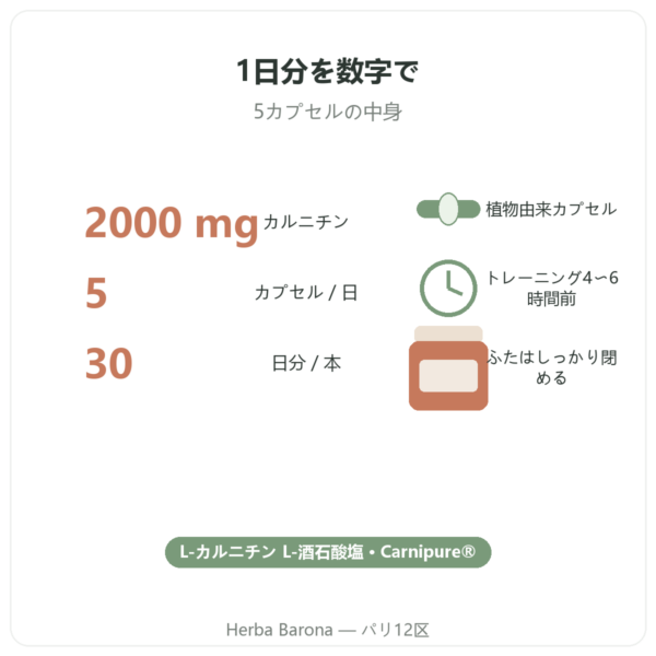 L-Carnitine Carnipure® Nutripure L-カルニチン 150カプセル 主なデータ Paris Herba Barona