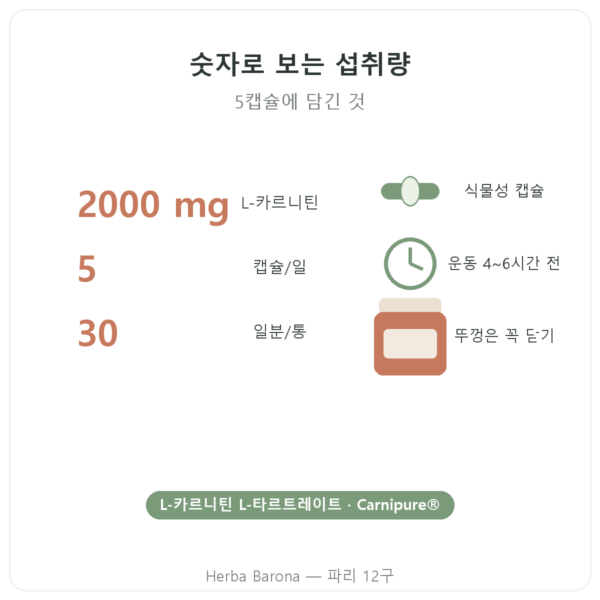 L-Carnitine Carnipure® Nutripure L-카르니틴 150캡슐 주요 수치 Paris Herba Barona
