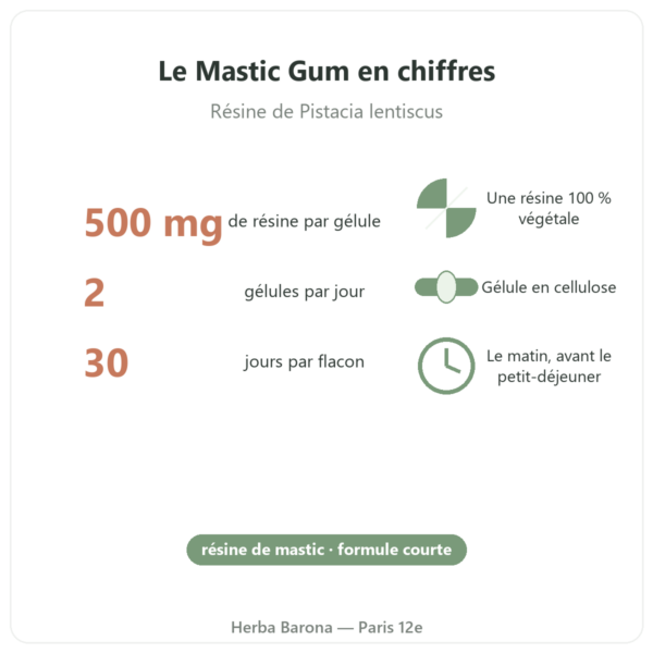 Mastic Gum Jarrow Formulas 1000 mg 60 gélules bienfaits et chiffres Paris Herba Barona