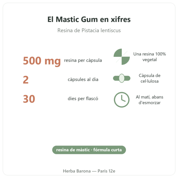 Mastic Gum Jarrow Formulas 1000 mg 60 càpsules en xifres París Herba Barona