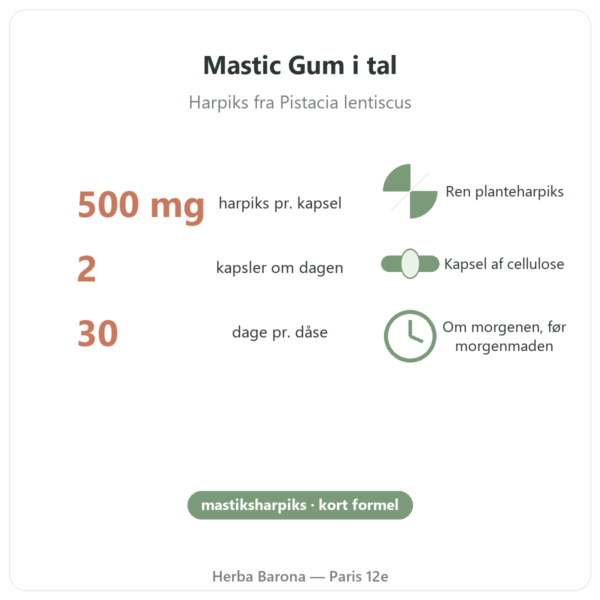 Mastic Gum Jarrow Formulas 1000 mg 60 kapsler i tal Paris Herba Barona