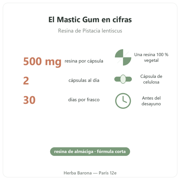Mastic Gum Jarrow Formulas 1000 mg 60 cápsulas en cifras París Herba Barona