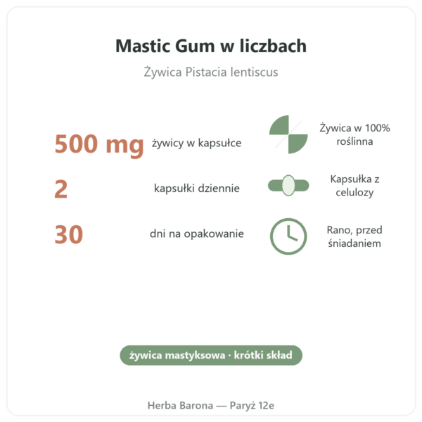Mastic Gum Jarrow Formulas 1000 mg 60 kapsułek w liczbach Paryż Herba Barona