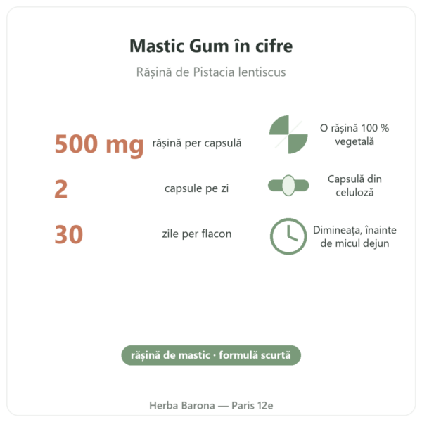 Mastic Gum Jarrow Formulas 1000 mg 60 capsule în cifre Paris Herba Barona