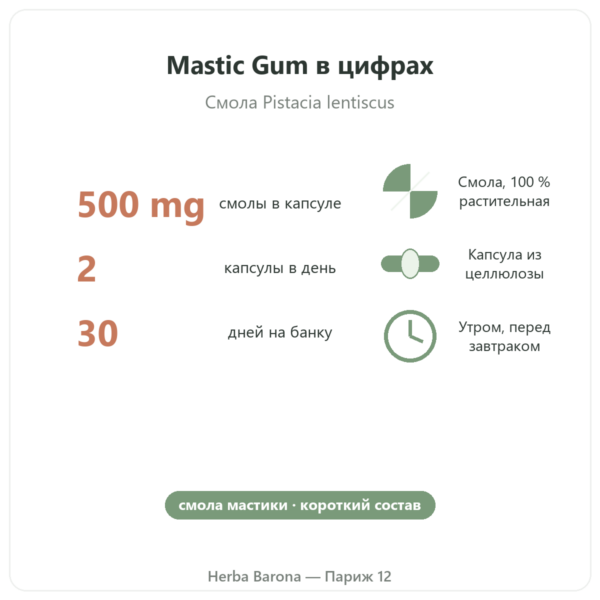 Mastic Gum Jarrow Formulas 1000 mg 60 капсул в цифрах Париж Herba Barona