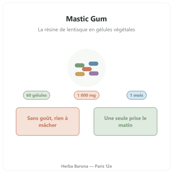 Mastic Gum Jarrow Formulas 1000 mg 60 gélules présentation Paris Herba Barona