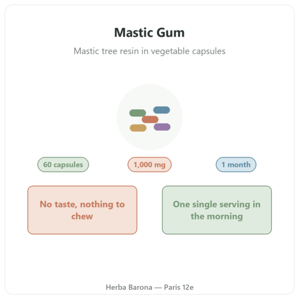Mastic Gum Jarrow Formulas 1000 mg 60 capsules presentation Paris Herba Barona