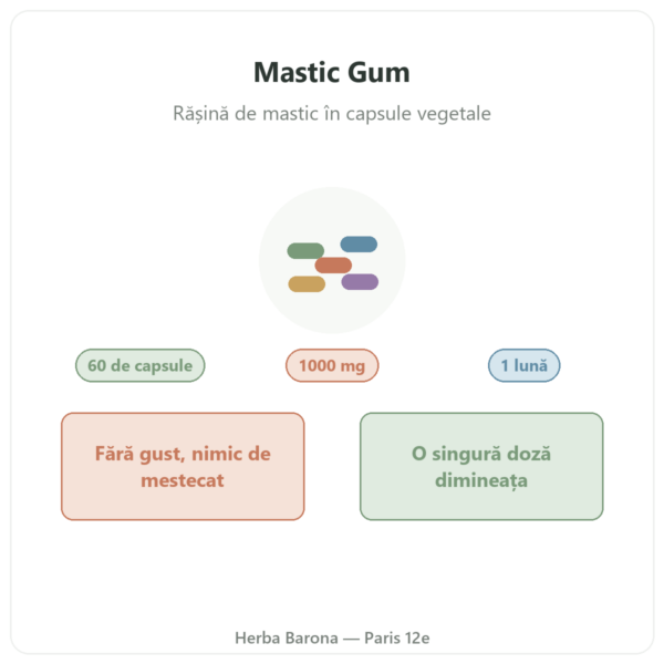 Mastic Gum Jarrow Formulas 1000 mg 60 capsule prezentare Paris Herba Barona