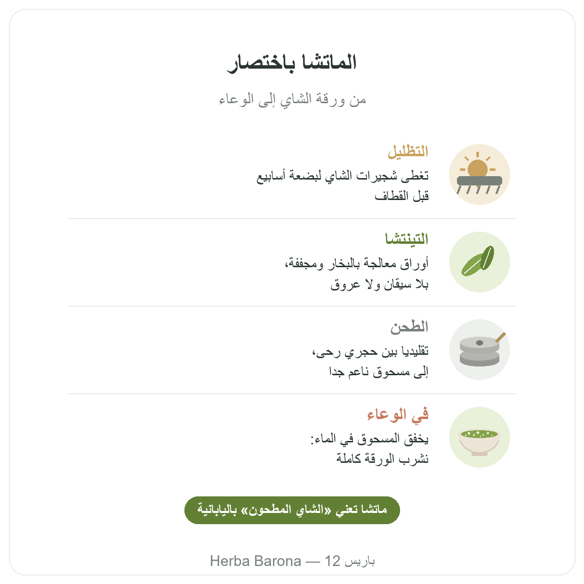 الماتشا في باريس: من الورقة إلى الوعاء باختصار، Herba Barona باريس 12
