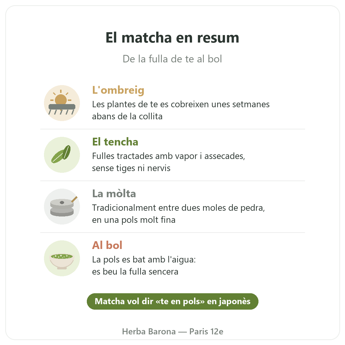 Matcha a París: de la fulla al bol en resum, Herba Barona París 12e
